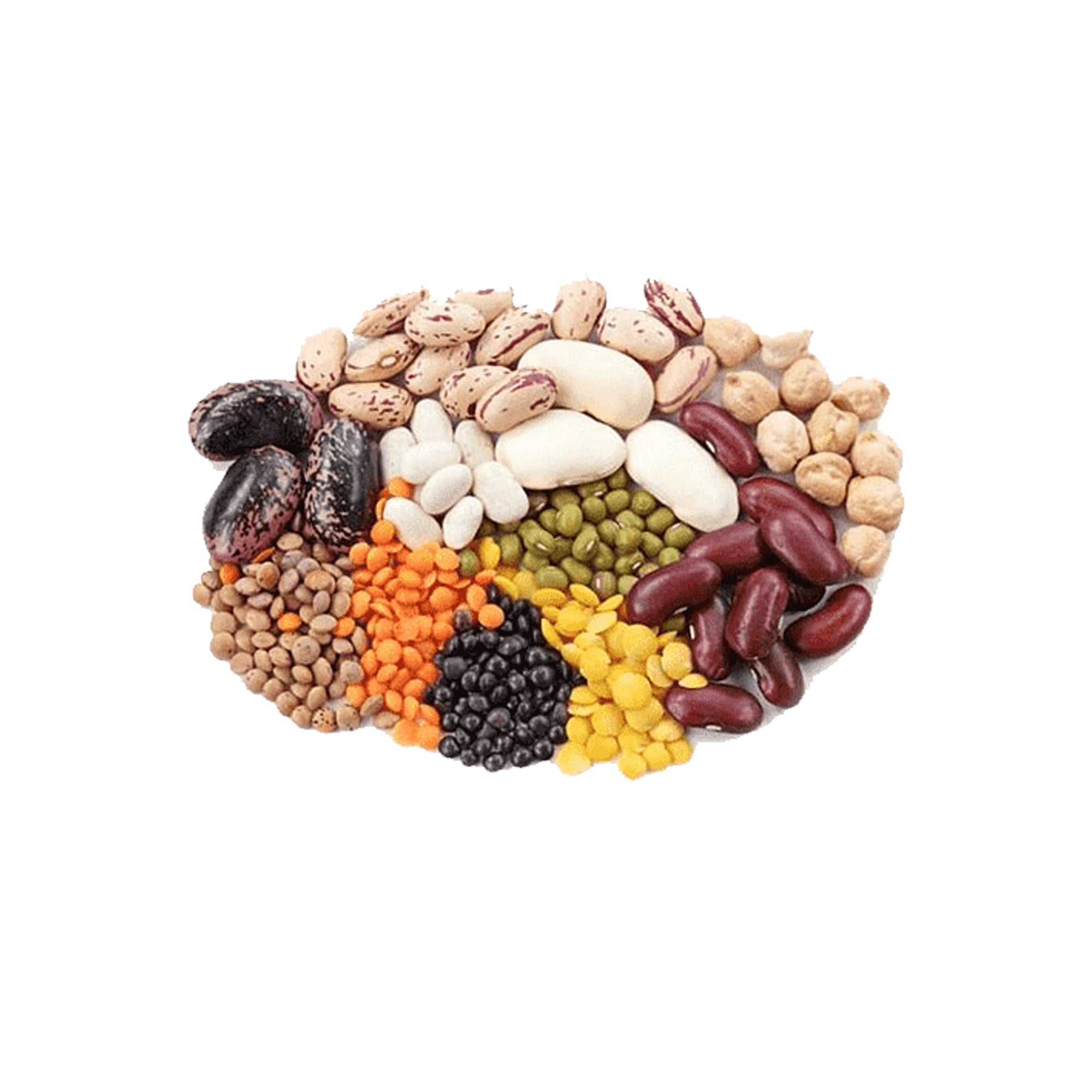 Dried Beans (Per KG) - Kabul Municipality Tier Main image