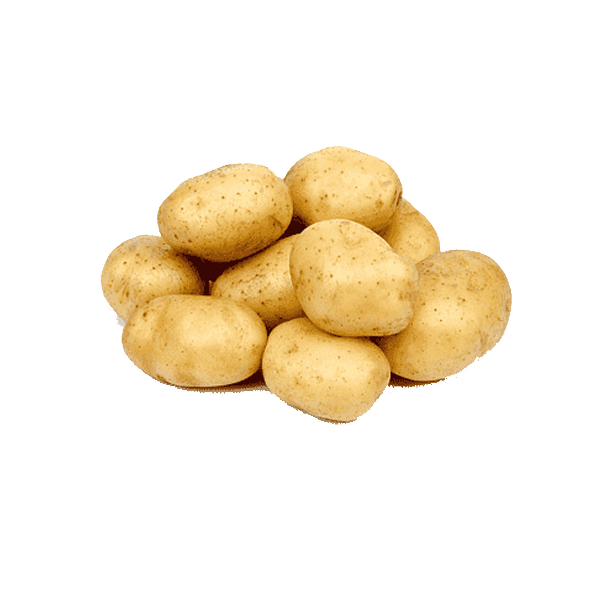 Potatoes / Kachalou (7KG Bag) - Kabul Municipality Tier Main image