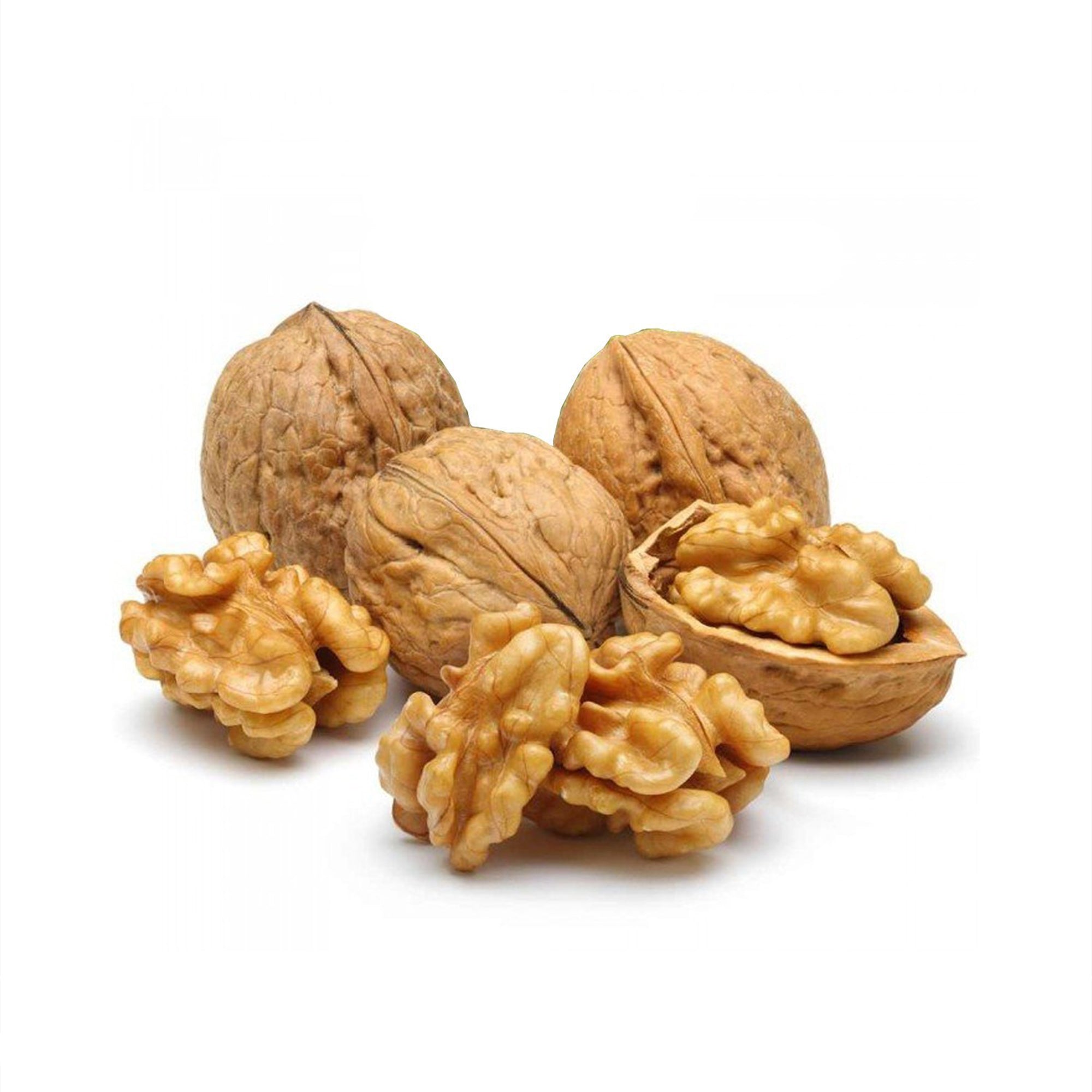 Walnut - Shelled / Maghz Charmghaz (Per KG) - Kabul Municipality Tier Main image